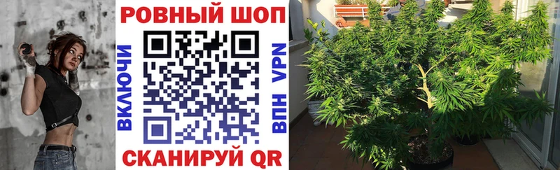 Продажа наркотиков Заполярный Гашиш  Cocaine  Меф мяу мяу  omg как войти  Конопля 