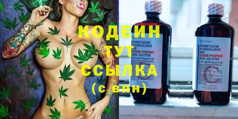 Codein Purple Drank  купить  цена  Заполярный 