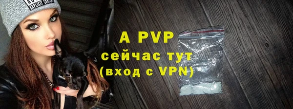 дживик Новокубанск