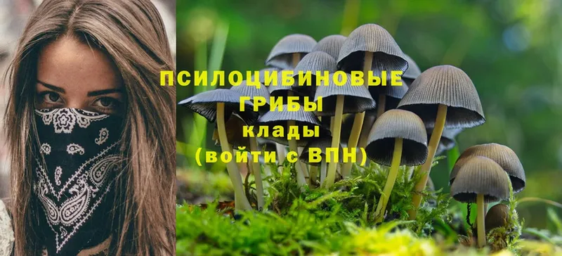 Псилоцибиновые грибы Psilocybe  мориарти клад  Заполярный  где найти наркотики 